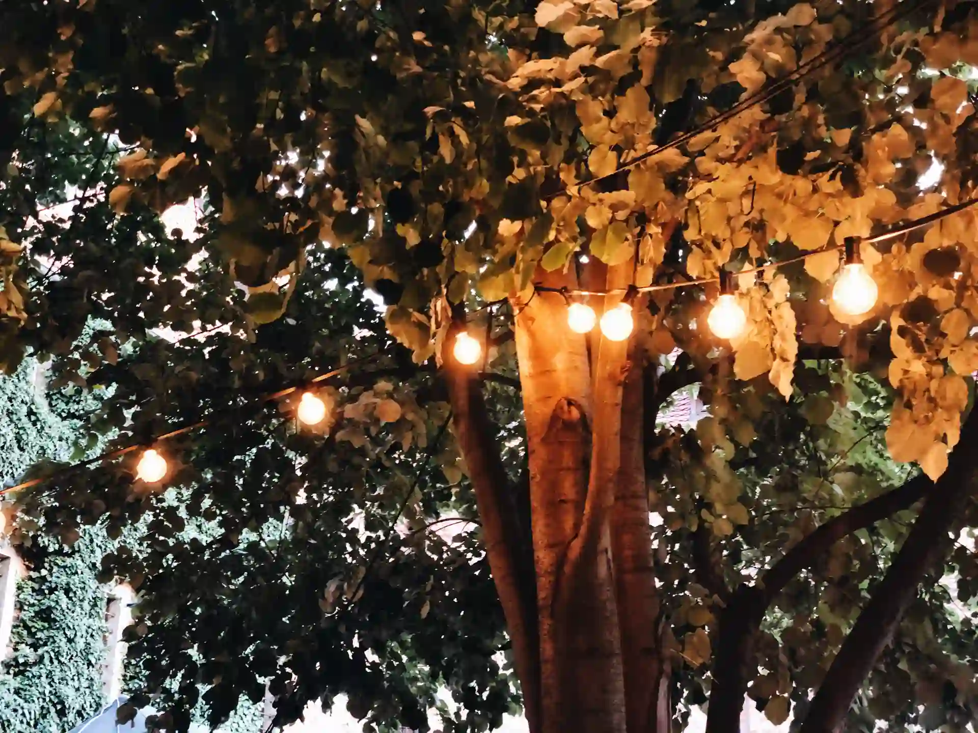 Day-to-Night Event Ambience Lighting and Decor Transition